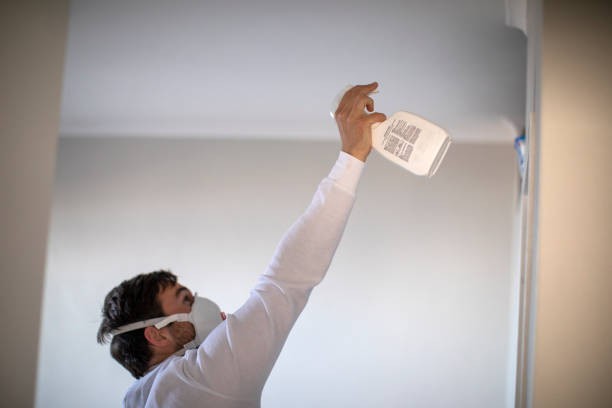 Best Local Mold Removal Service  in Winterville, NC