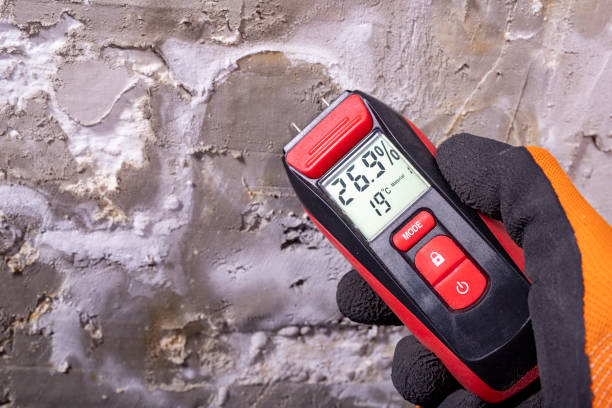 Best Attic Mold Removal  in Winterville, NC