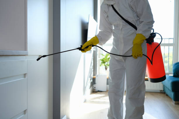 Best Emergency Mold Removal  in Winterville, NC
