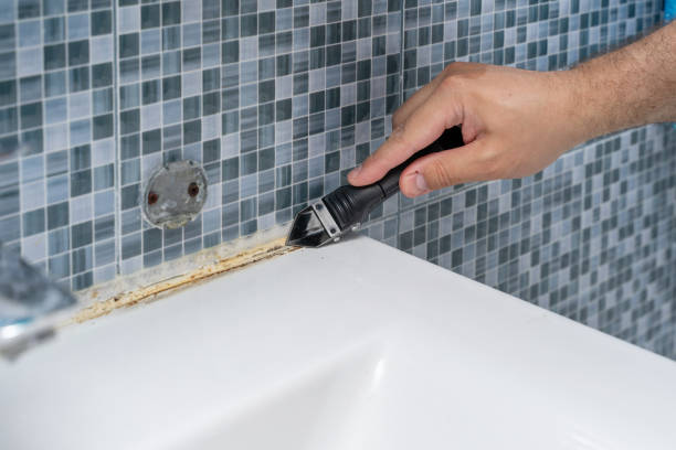Best Commercial Mold Removal  in Winterville, NC