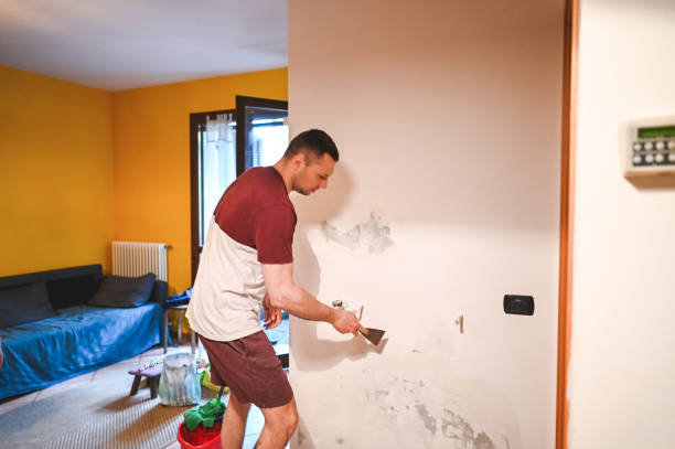 Best Mold Removal and Inspection  in Winterville, NC