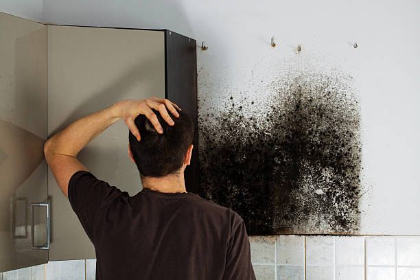 Water Damage Restoration in Winterville, NC